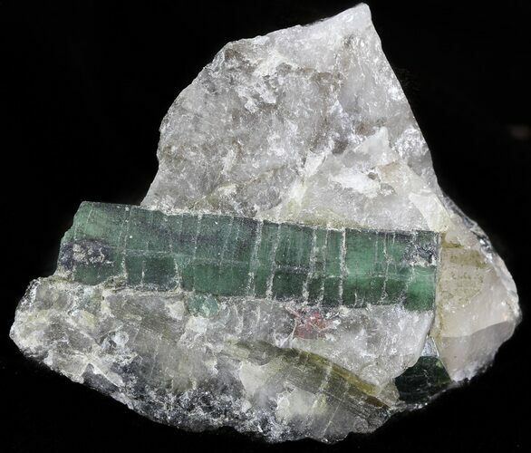 Beryl (Var: Emerald) Crystal in Quartz & Biotite - Bahia, Brazil #44120